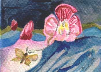 "Night Paths For Moths" by  Mary Lou Lindroth, Rockton IL - Watercolor